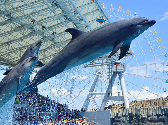 名古屋港水族館 新築電気設備工事